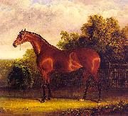 John F Herring Negotiator, the Bay Horse in a Landscape oil painting on canvas